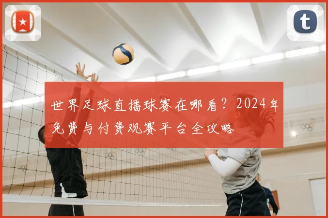 世界足球直播球赛在哪看？2024年免费与付费观赛平台全攻略